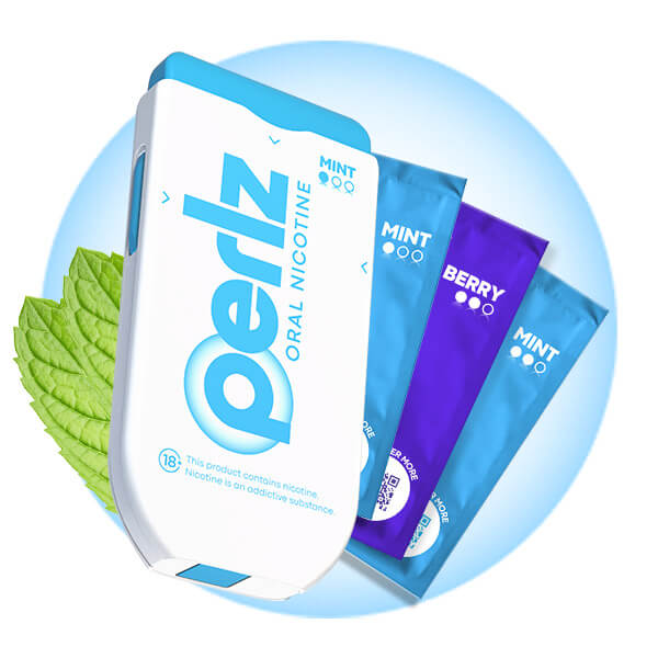 Mint Moderate Bundle